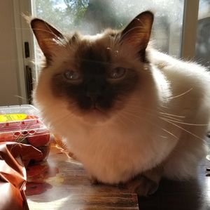 Meet your Posher, Gary